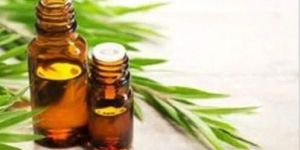 Tea Tree Oil
