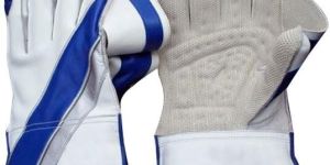 Cricket Wicket Keeping Gloves