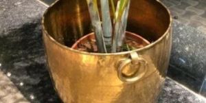 Brass Planter
