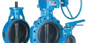 Butterfly Valve