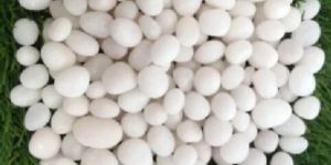 White Marble Pebbles