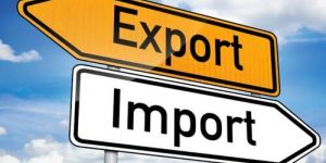 Export License Consulting Services