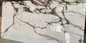 Digital Vitrified Floor Tiles