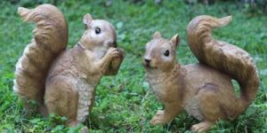 Squirrel Statue