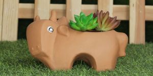 Terracotta Cow Pot