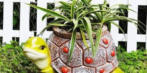 Turtle Shaped Planter