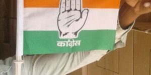 Plastic Indian Flags