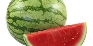 Fresh Watermelon