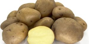 Kufri Pukhraj Potato Seeds