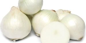 Fresh White Onion