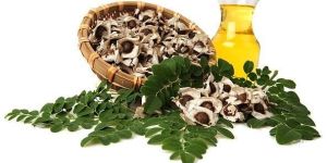 Moringa Oil
