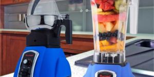 1000W Sumeet Health Processor