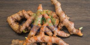 Fresh Raw Turmeric