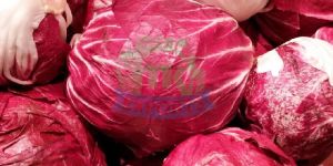 Fresh Red Cabbage