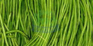 Fresh Yardlong Beans