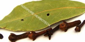 Clove Leaf Oil