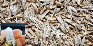 Cumin Oil