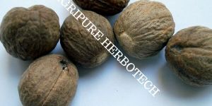 Nutmeg Oil