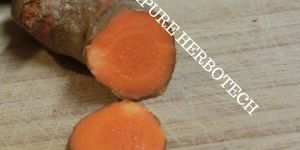 Turmeric Oleoresin
