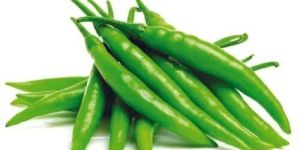 Green Chilli