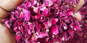 Rose Petals Tea Bag Cut