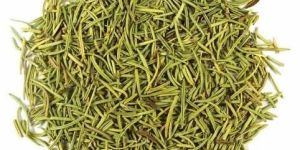 Rosemary Leaves Tea Bag Cut