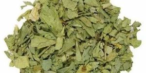 Senna Leaves