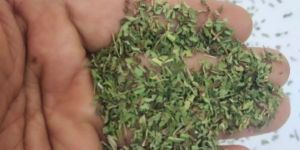 Stevia Leaves Tea Bag Cut