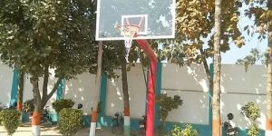 Basketball Pole
