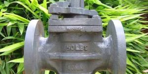 Gland Cock Valve