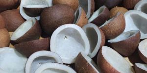 Copra Coconut
