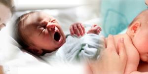 Gynecology Management Software