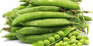 Fresh Green Peas