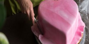 Spreadable Agar Agar ( Wondergel)