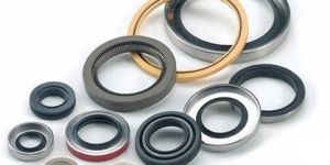 Oil Seal