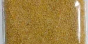 Foxtail Millet - Thinai - Kora