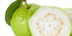 Fresh White Guava