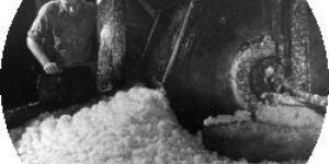 Cationic Starch Powder