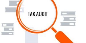 Tax Audit Service