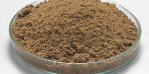 Steam Dried Fish Meal