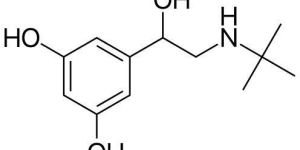 Terbutaline Impurity
