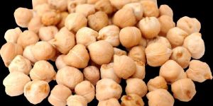White Chickpeas