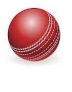 Club Cricket Balls