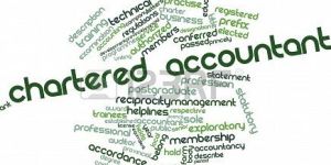 Chartered Accountant Services