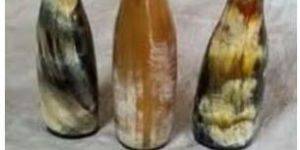 Drinking Horn Bottle