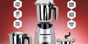 Fusion FUG Litchis Mixer Grinder