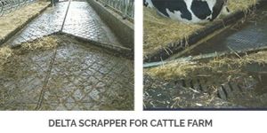 Delta Scrapper for Cattle Farm