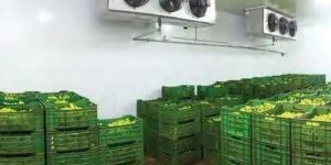 Banana Repining Chamber