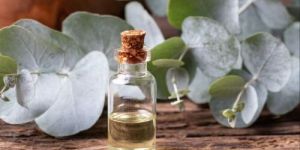 Eucalyptus Oil