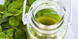 Natural Basil Oil